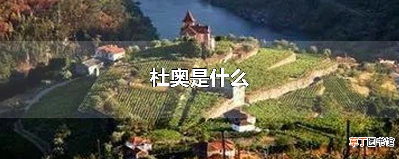 杜奥是什么