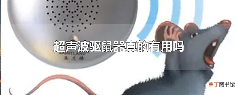 超声波驱鼠器真的有用吗