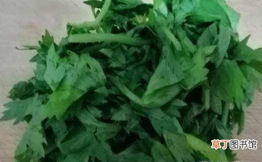 萝卜豆腐芹菜叶子汤的做法