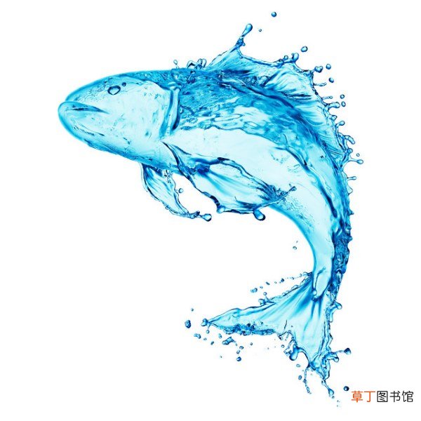 海鱼要煎多久？这样煎海鱼软嫩又好吃