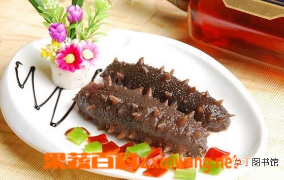 孕妇能吃海参吗 孕妇吃海参的好处和禁忌