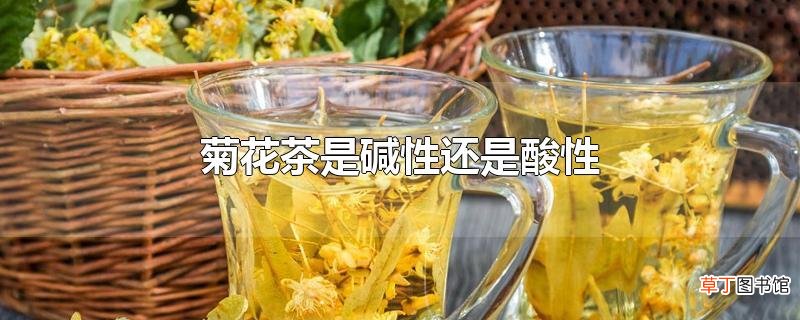 菊花茶是碱性还是酸性
