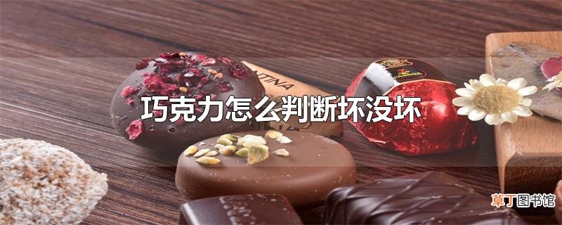巧克力怎么判断坏没坏