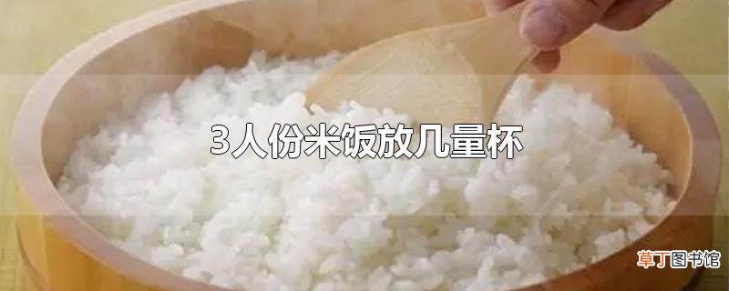 3人份米饭放几量杯