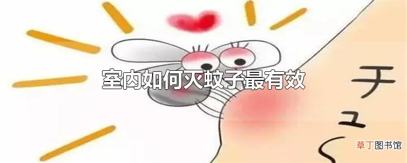 室内怎么灭蚊子最有效