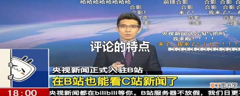 评论的特点