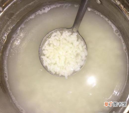 夏日晚餐之蔬菜虾仁粥