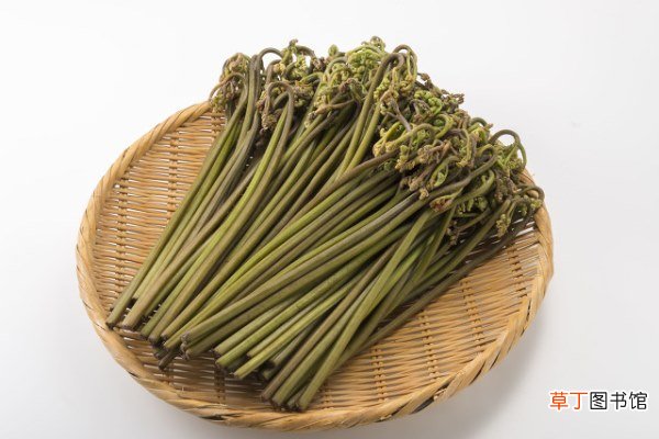 干蕨菜如何正确的泡发,时令野菜的美味推荐