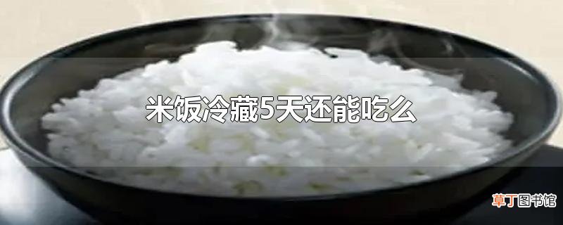 米饭冷藏5天还能吃么