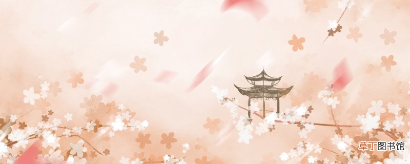 王安石是哪个朝代的 王安石哪个朝代的
