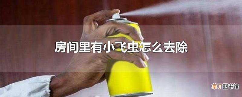 房间里有小飞虫怎么去除