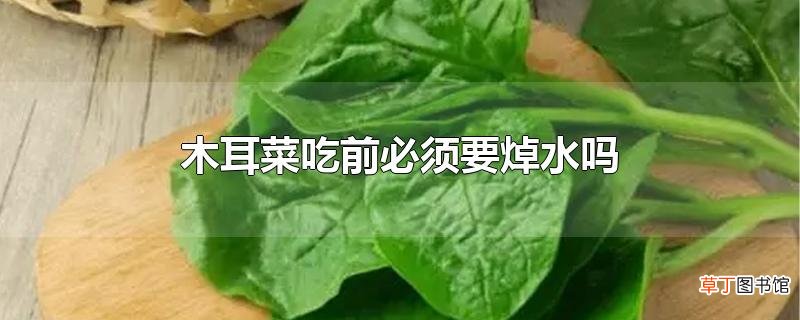 木耳菜吃前必须要焯水吗