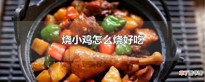 烧小鸡怎么烧好吃