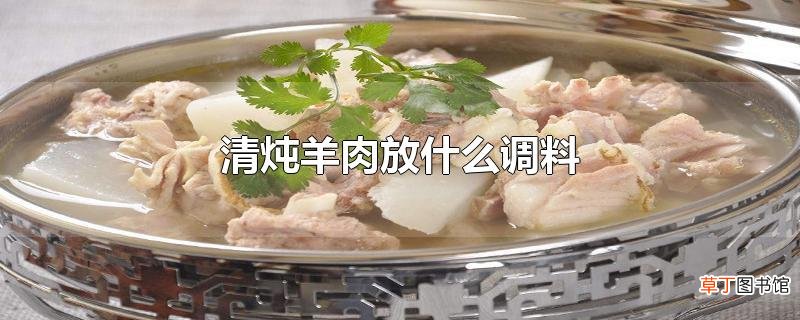 清炖羊肉放什么调料
