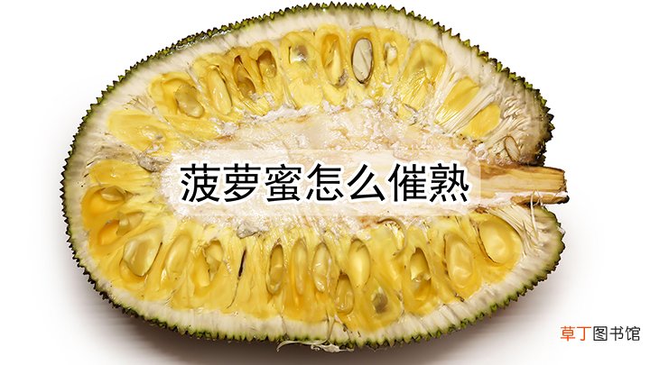 菠萝蜜没熟怎么催熟快