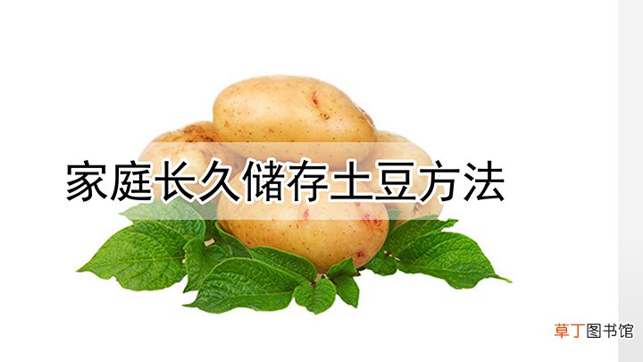 家庭储存土豆的好方法
