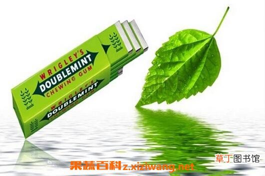 口香糖咽下去怎么办 口香糖的危害有哪些