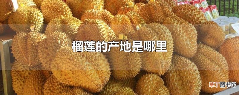榴莲的产地是哪里