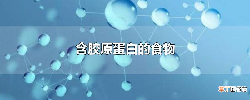 含胶原蛋白的食物