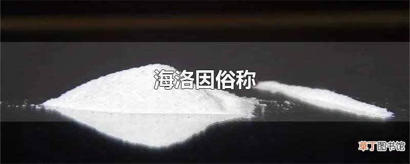 海洛因俗称