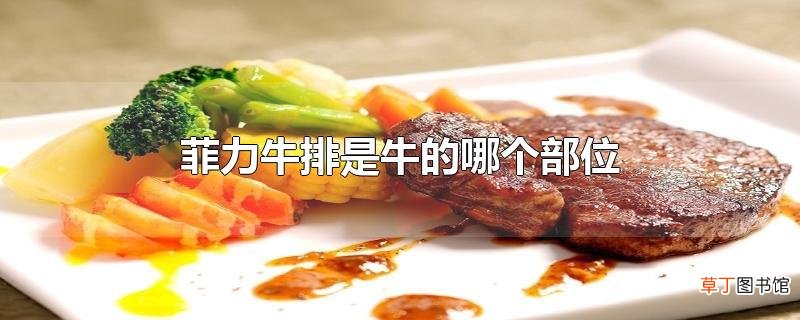 菲力牛排是牛的哪个部位