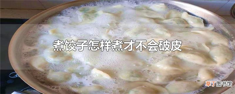 煮饺子怎样煮才不会破皮