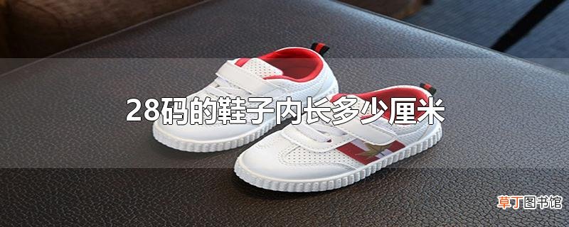28码的鞋子内长多少厘米