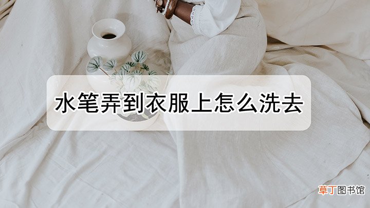 水笔弄到衣服上怎么洗掉