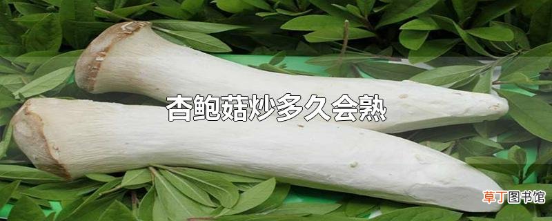 杏鲍菇炒多久会熟