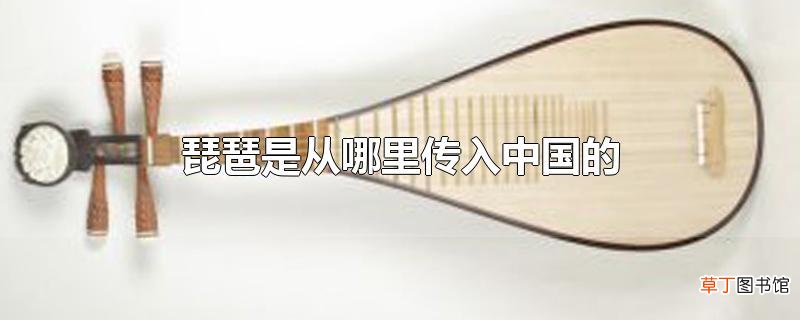 琵琶是从哪里传入中国的