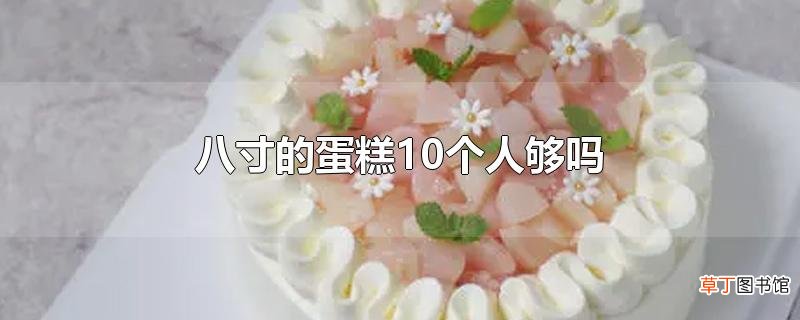 八寸的蛋糕10个人够吗