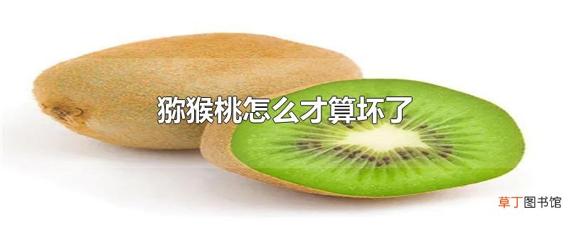 猕猴桃怎么才算坏了