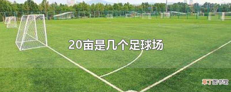 20亩是几个足球场