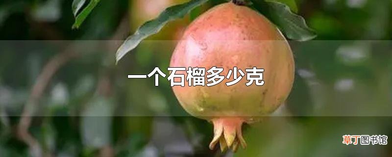 一个石榴多少克