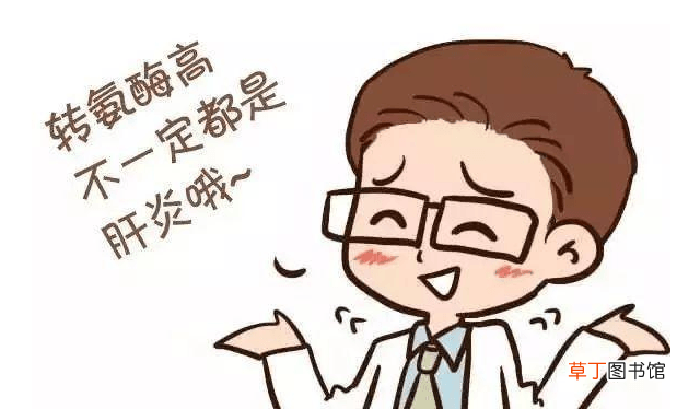 转氨酶高是什么原因引起的-转氨酶高是怎么回事有什么危害