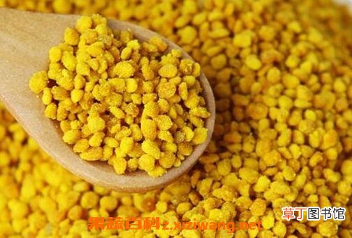花粉的吃法 花粉怎么吃效果好