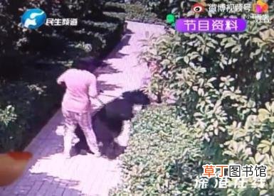 把小莉为难哭的狗主人想和解 事件最新后续！【图】