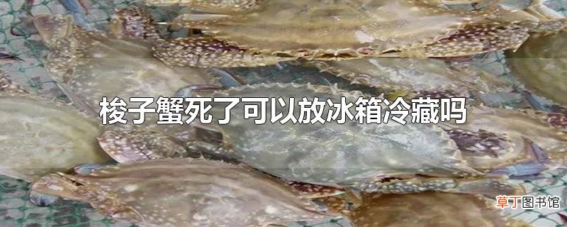 梭子蟹死了可以放冰箱冷藏吗