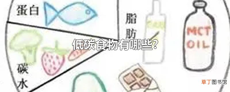 低碳食物有哪些?