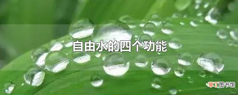 自由水的四个功能
