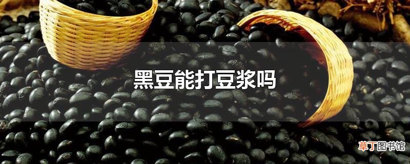 黑豆能打豆浆吗