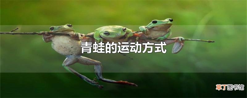 青蛙的运动方式