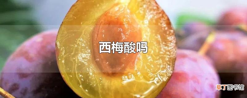 西梅酸吗