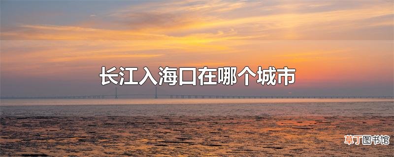 长江入海口在哪个城市