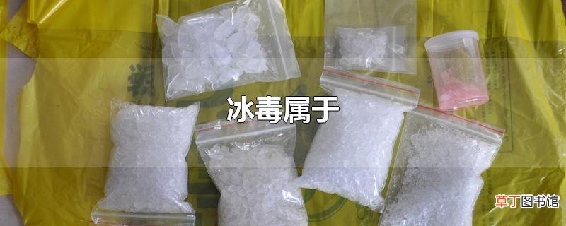 冰毒属于