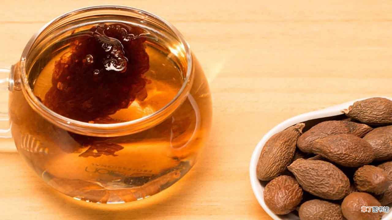 胖大海怎么泡水-胖大海的喝法
