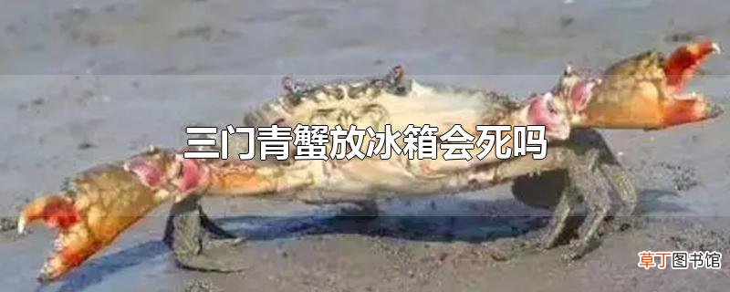 三门青蟹放冰箱会死吗