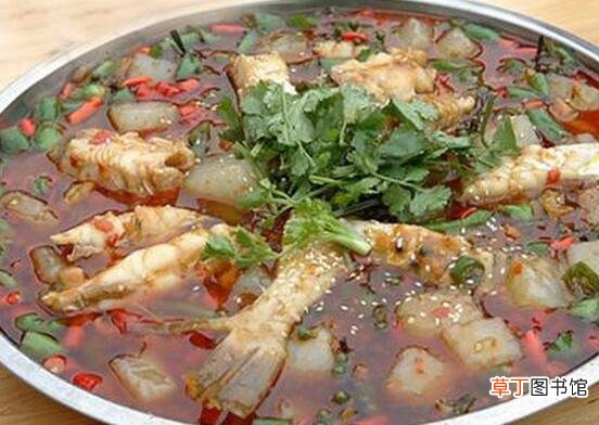 水密子的功效与作用