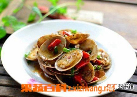 花蛤如何做好吃 花蛤的材料和家常做法