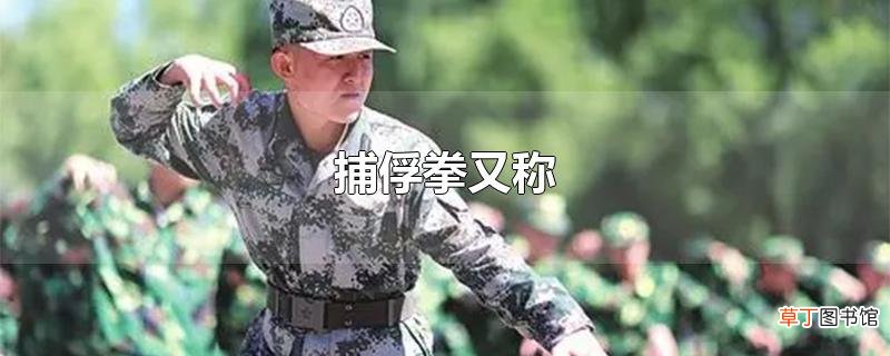 捕俘拳又称